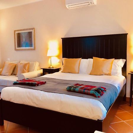 Casa Ciampi Locazione Turistica Hotell Pisa Eksteriør bilde